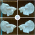 Fish-1 D&A Tropical Live Male Halfmoon Betta Live Fish- Live Betta Fish for Pond, Fish Tank or Aquarium, Live Fish