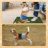 Teamoy Reusable Wrap Diapers for Male Dogs - Washable Puppy Belly Band Pack of 3 (XS, 7"-9" Waist, Black, Gray, Lake