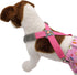 9lb 25lb, Dog Suspenders for Pet Clothes Apparel Diapers Pants Skirt Belly Bands Small Medium and Large Dogs (XS/M: