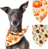 Pohshido 2 Pack Dog Thanksgiving Bandana, Reversible Triangle Bibs for Small Medium Large Dogs, Fall Pumpkin Turkey