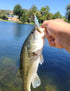 Fishing Swivels Snaps Set, Rolling Bearing Swivel with Duo Lock Snap Connector for Freshwater and Saltwater Fishing