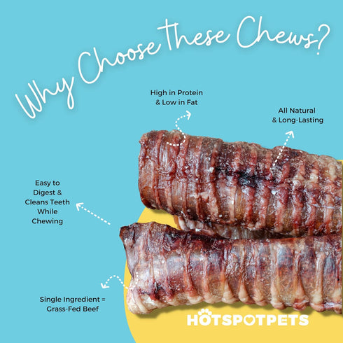 hotspot pets Premium 12'' Beef Trachea for Dogs, All Natural Long Lasting Chews Rich in Glucosamine