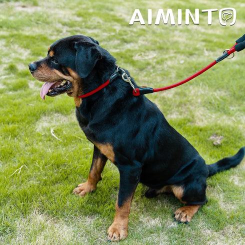 Dog Leash, Braided Rope Traction, Walking Training Lead for Medium/Large Dogs (1/2", 6FT, Red)