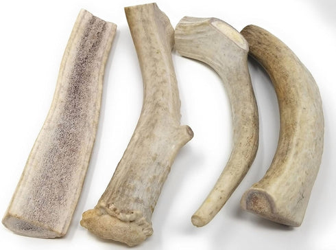 One Pound Pack of Sun-Aged Deer and Elk Antler Dog Bone Chews - Natural Healthy Long-Lasting Treat