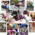 Pet Dog Classic Knitwear Sweater - Warm Winter Puppy Coat, Soft Sweater Clothing for Small Dogs (XXS, Brown)