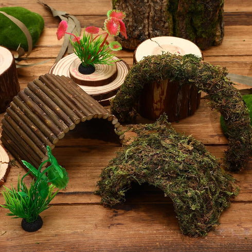 6 PETKNOWS Hermit Crab Accessories, Pieces Hermit Crab Climbing Toys Coconut Shell Hut with Moss Ladder and Natural