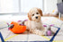 ZippyPaws Plush Dog Toy, Burrow Squeaky Hide and Seek, Bunny 'n Carrot