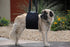 Max and Neo Dog Lift Support Harness for Dogs with Weak Rear Legs - Medium, Black