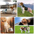 5pcs,Reusable Dog Diapers Female Dog Doggie Puppy Doggy Diapers Female, Period Panties in Heat, Owl, Small