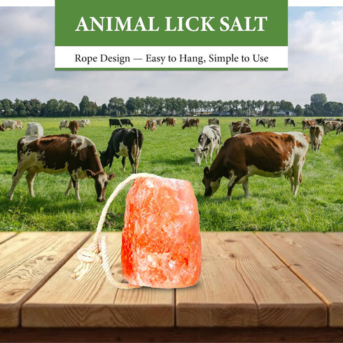 100% 18 lbs (Pack 4) Himalayan Pink Salt, Mineral Salt Block on Rope, Organic Pink Salt for Horses, Cows, Deer