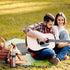 LZQPOEAS (58.3" 58.3"), Elephant with Gray Picnic Blanket Outdoor, Square Foldable Lightweight Waterproof Beach Mat X