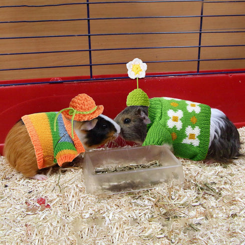 10 Pcs Guinea Pig Stuff Includes 5 Mini Hats & 5 Clothes for Small Animals, Cozy Hand Knitted Set
