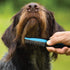 Pets First 2 Pack Dog Comb, Small & Large Comb for Breeds with Anti-Slip Comfort Grip Ergonomic Handle