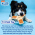 Hartz Chew ‘n Clean Tri-Point Dog Toy, Chicken Flavored Chew Toy and Treat in One, Small