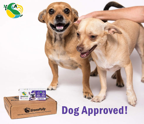 250 Count, 100% Pet Waste and Dog Poop Bags, Made with Renewed Material, Durable, Purple, Fits in Standard Park