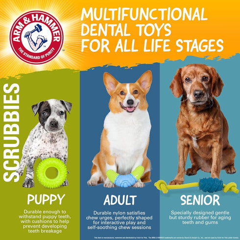 Arm & Hammer Scrubbies Boomerang Chew Toy for Puppies, Durable Teething Toy with Unique Shape for Fetch