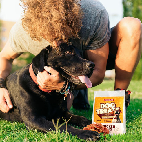 10.58oz Chicken Rings Dog Treats, Natural Chicken Breast Jerky Rawhide-Free Soft Chews Healthy Dog Training Treats
