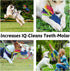 Dog Tug Toy, Large Dog Chew Toy with Strong Squeak, Ideal for Training, Handmade, for Aggressive Chewers