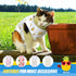 4 Pieces Cat Recovery Suits Body Wraps - Breathable Recovery Clothes for Cats Small Dogs, Abdominal Weaning (Banana,