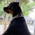 YUEPET Dog Safety Collar Clips 5 Pack, Adjustable Prong Collar Backup Clips for Dog Harness