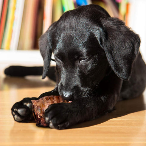 (3" 16 OZ) Dog Chews Beef Trachea Dog Treat Chew Made in USA. Grass Fed Farm-Raised American Beef. Glucosamine Rich
