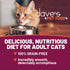 Dave's Pet Food Grain Free Wet Cat Food (Shredded Chicken in Gravy), 13.2 oz Cans (Case of 12) Made in Canada