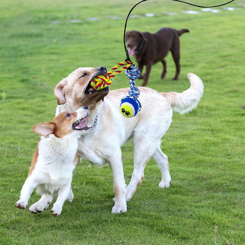 Flirt Pole for Dogs, Interactive Toys Tug-of-war for Dogs, Four-Section Retractable Adjustable Length, Chase Toys