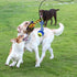 Flirt Pole for Dogs, Interactive Toys Tug-of-war for Dogs, Four-Section Retractable Adjustable Length, Chase Toys