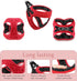 Comfort Fit Step-in Dog & Puppy Harness, Adjustable Soft Padded All Weather Vest Harness for Small to Medium Dogs