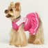 Fitwarm Cheerleader Dog Costume - Sporty Cheer Dog Dress for Small Dogs, Pet Clothes, Cat Outfits, Pink White, Large