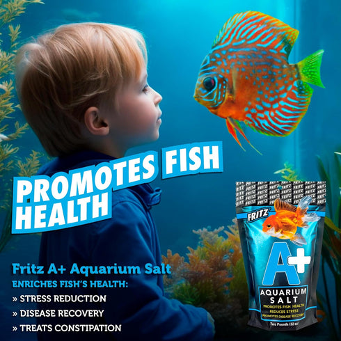Fritz Aquatics A+ Aquarium Salt Treatment for Freshwater Fish, 2 lbs