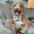 Summer Dog Bandana Small-Dog Scarf Vibrant Color Yellow Blue Plaid Printing Adjustable Bib Handkerchief Accessories