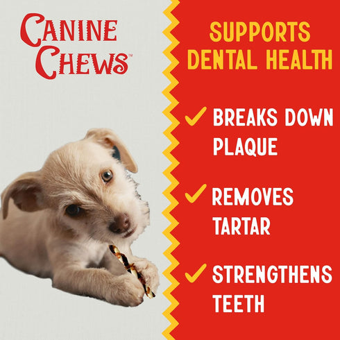 Canine Chews 5" Triple Flavor Rawhide Stick Twists for Small Dogs - Chicken, Pork, Beef Flavor Chew Toy (100 Pack)