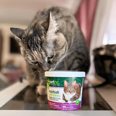 Petnc Natural Care Hairball Soft Chews for Cats (90 Count) with Chicken & Cheese Flavor