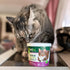 Petnc Natural Care Hairball Soft Chews for Cats (90 Count) with Chicken & Cheese Flavor