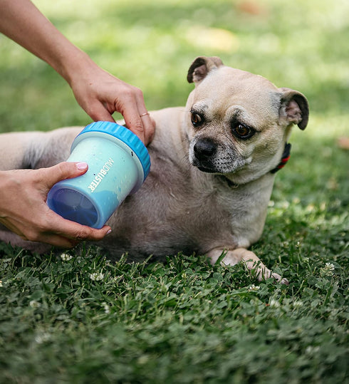 Dexas MudBuster Portable Dog Paw Cleaner, Premium Quality, Blue, Small Size for Pet Supplies