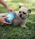Dexas MudBuster Portable Dog Paw Cleaner, Premium Quality, Blue, Small Size for Pet Supplies