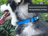Waterproof Dog Collars, Durable Adjustable Rubber Collars for Small, Medium, Large Dogs, Easy Clean with Buckle and D