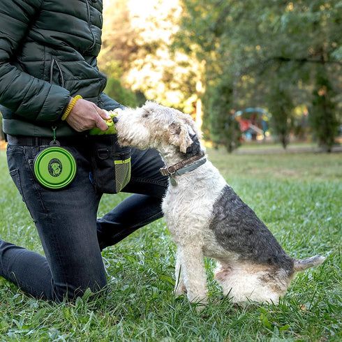 Premium Dog Treat Pouch - Training Treat Bag with Clicker, Collapsible Bowl, Adjustable Straps & Belt Clip for Dogs