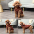 2 Layers Fleece Lined Warm Dog Jacket for Puppy, Soft Windproof Small Dog Coat, Brown, M