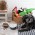 Bone Dry Ceramic Pet Bowls, Microwave & Dishwasher Safe, Non-Slip Bottom, Small Bowl Set, 4.25x2, Gray/Black, 2 Count