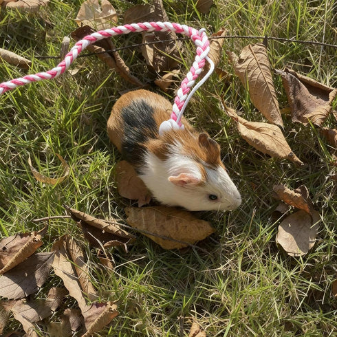 Exircy 3 Pack Rat Harness, Adjustable Hamster Leash Harness for Ferret Mouse Squirrel Small Animal