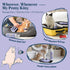 Pretty Kitty Waterless Cat Dry Shampoo with Grooming Glove No Rinse, Lick-Safe, Moisturizing for Dry Skin, Dandruff