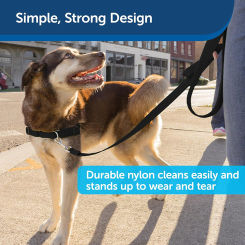 PetSafe Nylon Dog Leash – Strong, Durable Leash with Easy to Use Bolt Snap for Small, Medium and Large Dogs – 3/4" x