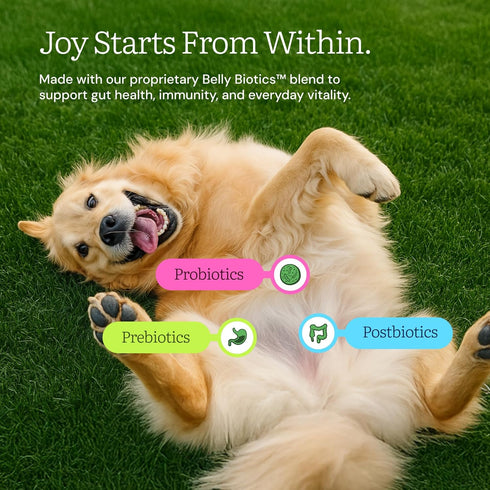 100% 16oz Get Joy Freeze Dried Raw Beef Meal, High Protein Grain Free, Dry Dog Food Meal Mixer and Topper