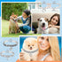 4 Pcs Pearl Dog Collar Necklaces, Rhinestones Adjustable Set for Small Dogs & Cats, Crystal Pet Jewelry
