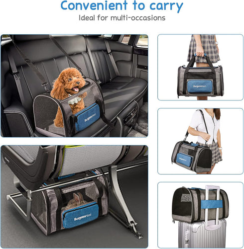 10 lbs BurgeonNest Cat Carrier, Airline Approved Dog Carrier, Soft Sided Cat Pet Carrier for Small Medium Cats Dogs
