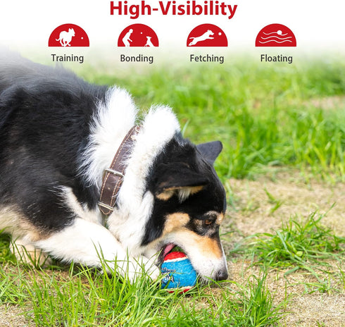 Gigwi Squeaky Tennis Ball Dog Toys - Interactive Dog Ball for Small and Medium Dogs Training, 2.5” Rubber Toy (3 Pack)