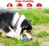 Gigwi Squeaky Tennis Ball Dog Toys - Interactive Dog Ball for Small and Medium Dogs Training, 2.5” Rubber Toy (3 Pack)