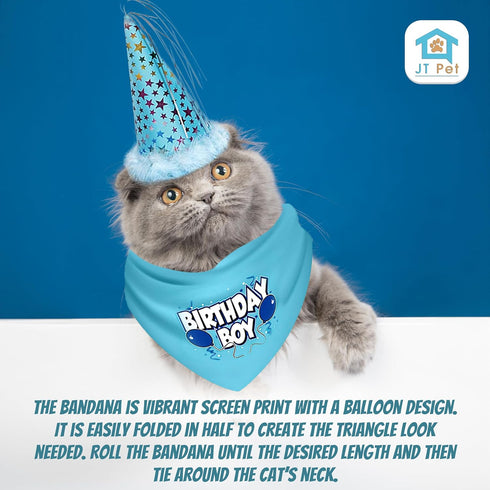 Cat Birthday Boy Party Pack, Bandana, Star Spangled Blue Party Hat, Catnip Birthday Cake Toy
